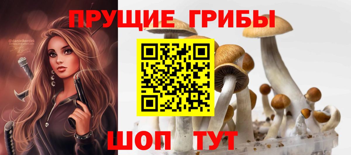 Семёнов  Псилоцибиновые грибы Psilocybe  Вход с VPN 